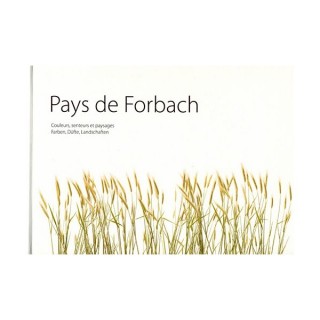 pays-de-forbach-44